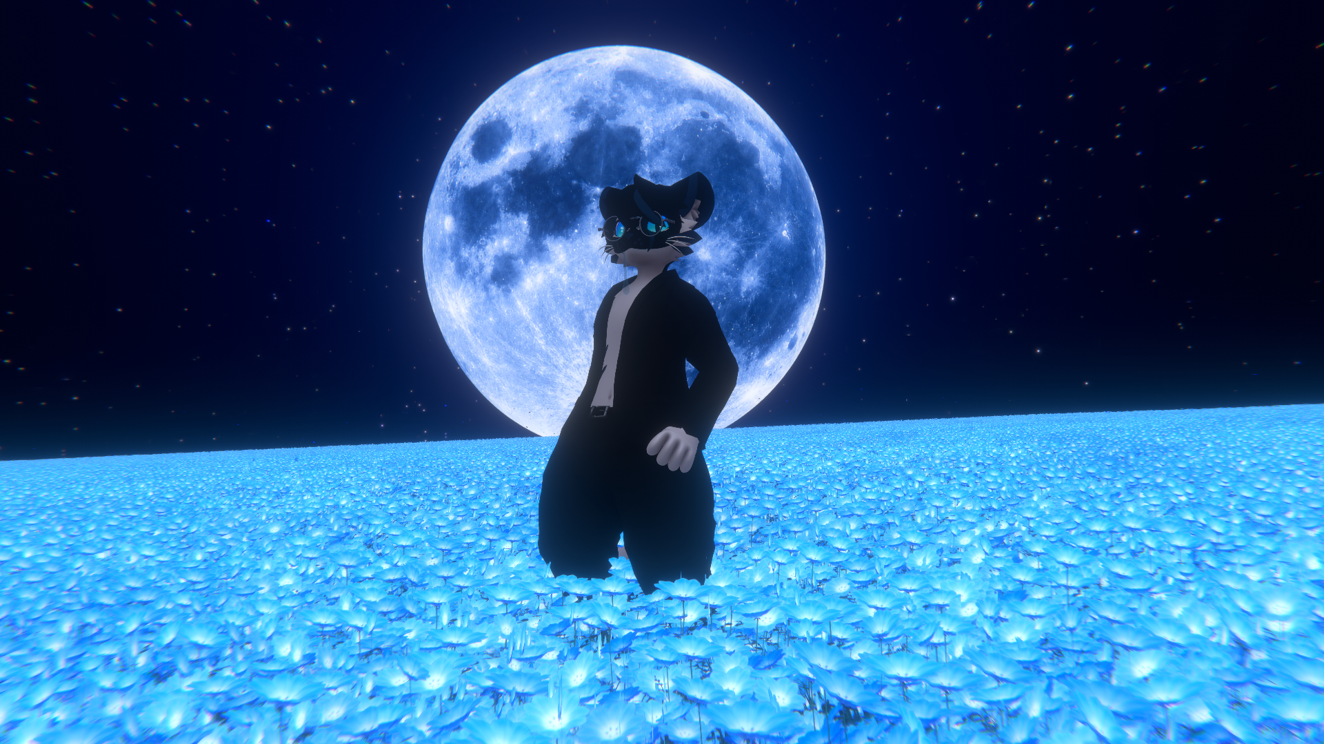 Darky in front of the moon